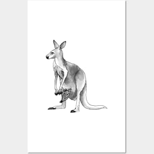 Kangaroo + Joey Ink Drawing Posters and Art